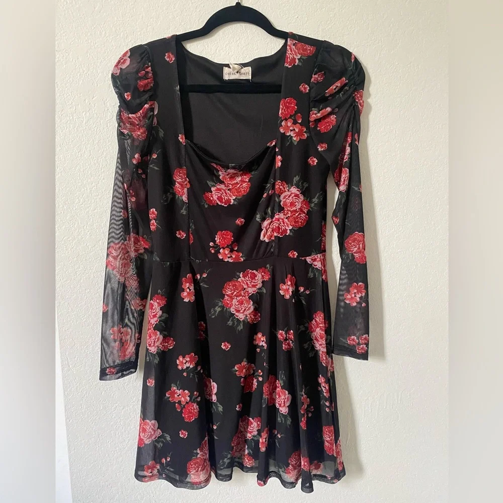 Mesh Long sleeve Mini Dress Black with Red Roses Used twice Excellent condition - Picture 2 of 4